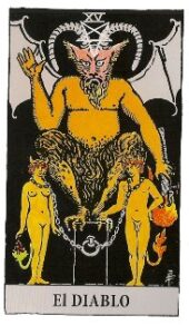 card-5