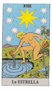 card-13