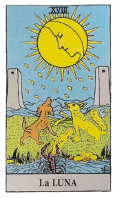 card-4