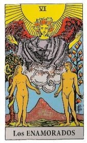 card-6