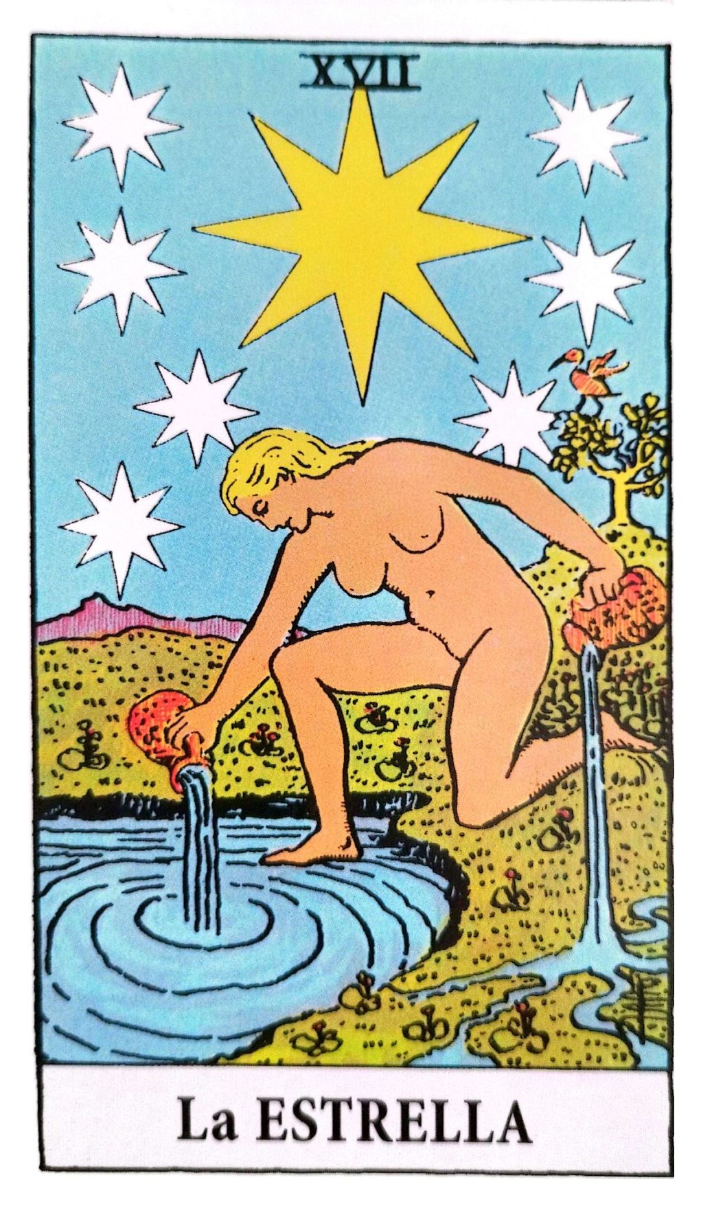 🌟 La Estrella en el Tarot: Esperanza, Renovación y Fe